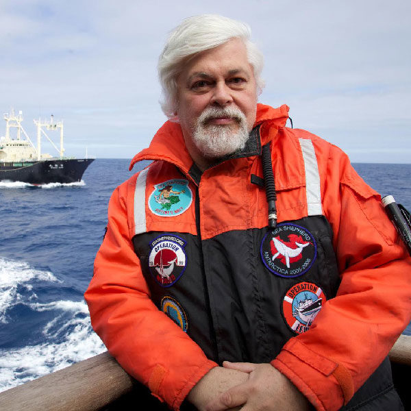 Paul Watson Artists For Sea Shepherd